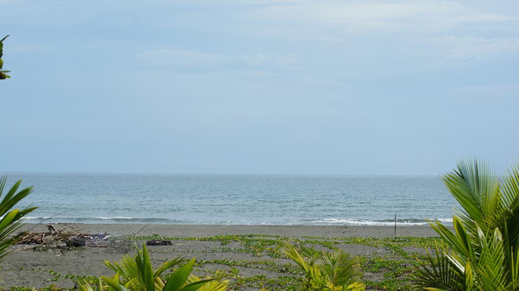 Lirio Lodge Barra de Pacuare Exteriör bild