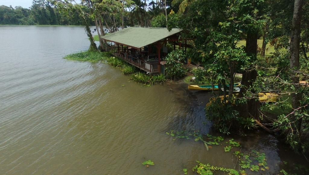 Lirio Lodge Barra de Pacuare Exteriör bild