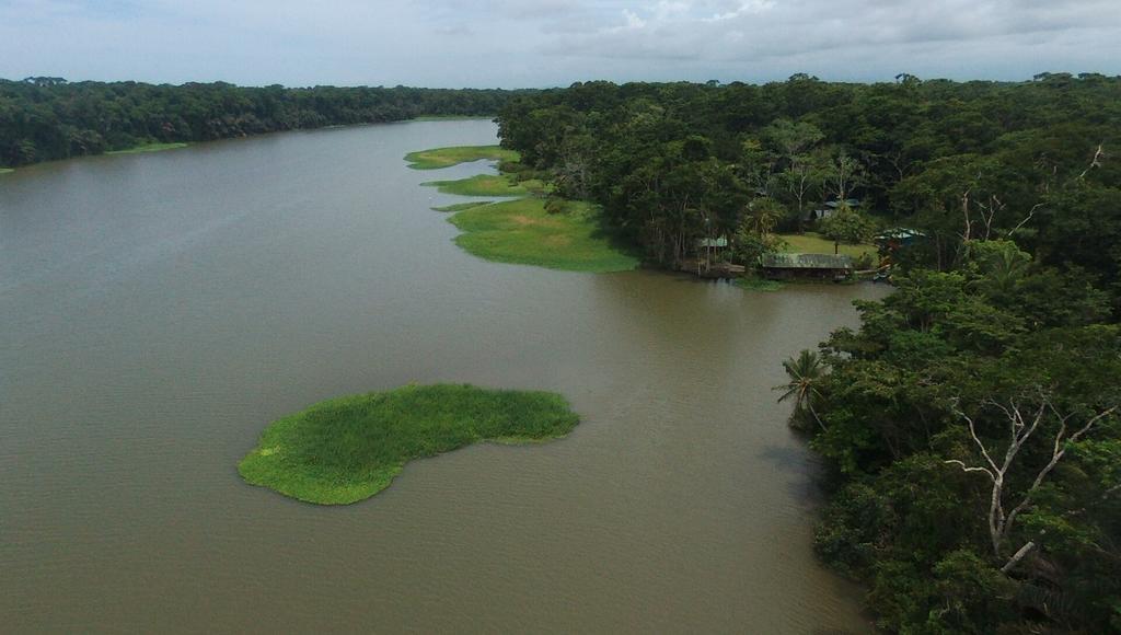 Lirio Lodge Barra de Pacuare Exteriör bild