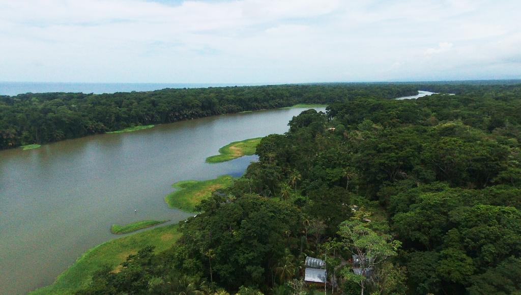 Lirio Lodge Barra de Pacuare Exteriör bild