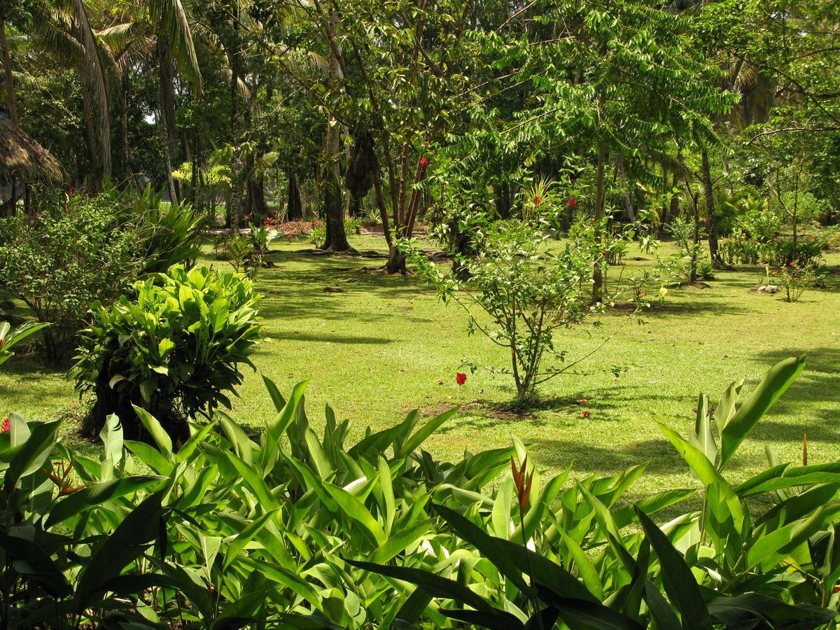 Lirio Lodge Barra de Pacuare Exteriör bild