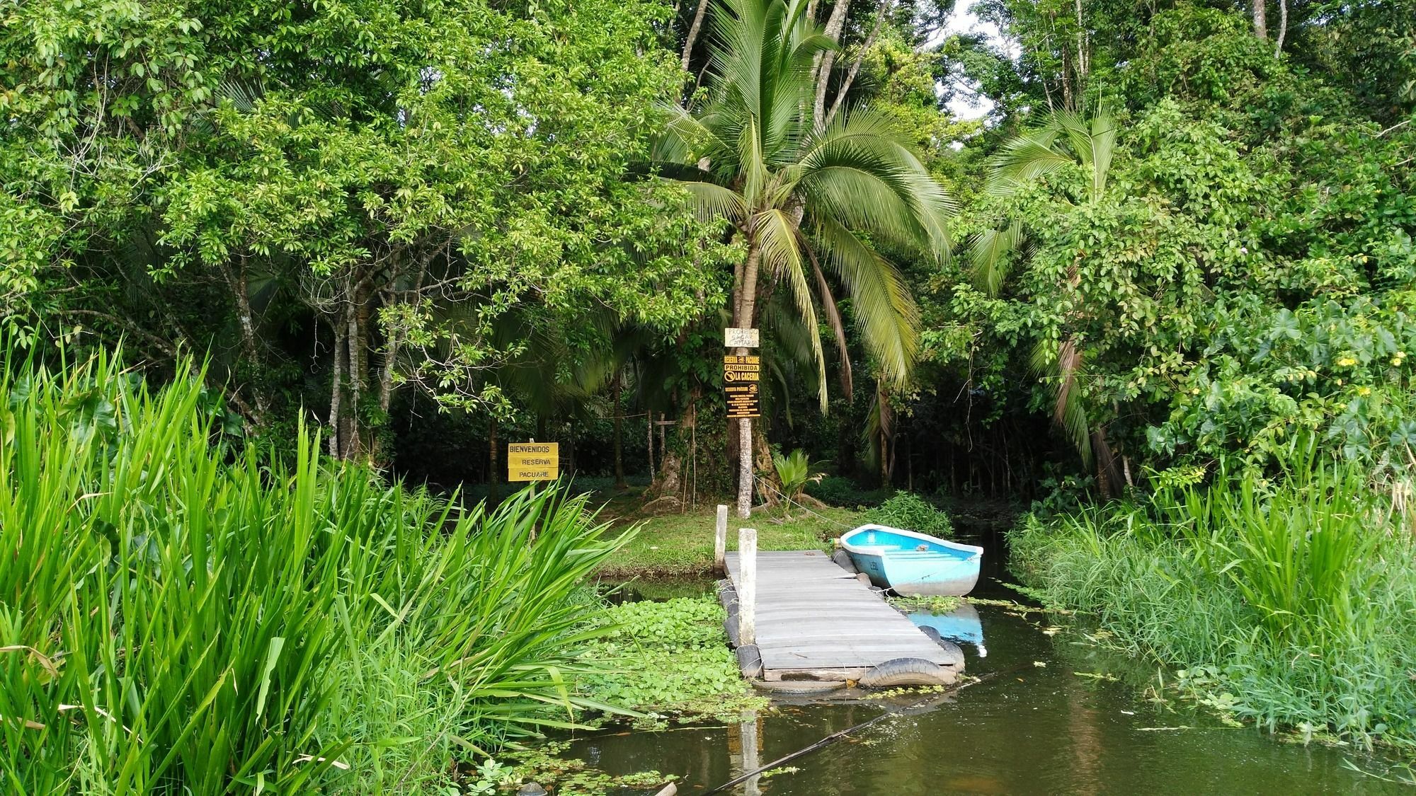 Lirio Lodge Barra de Pacuare Exteriör bild