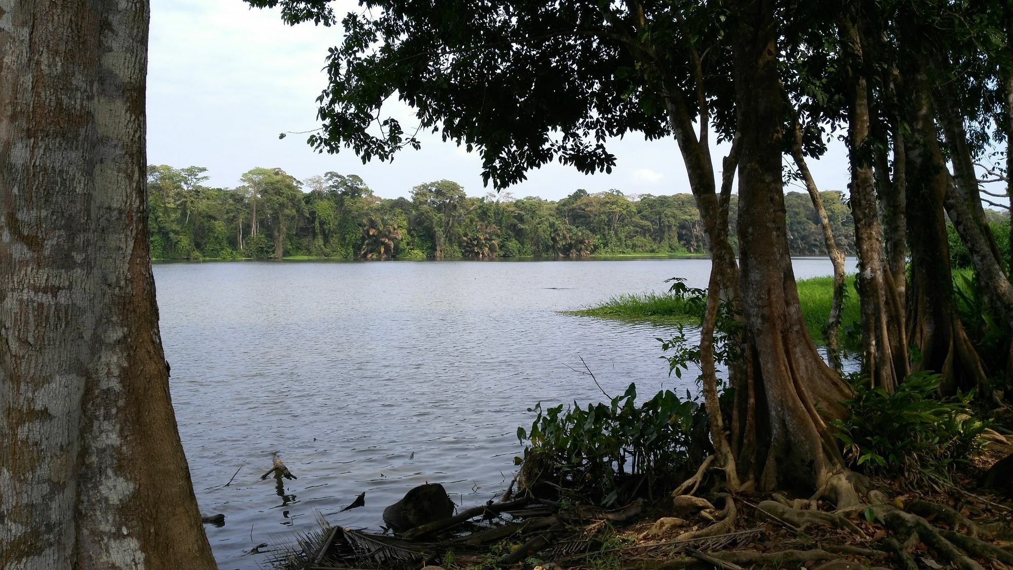 Lirio Lodge Barra de Pacuare Exteriör bild