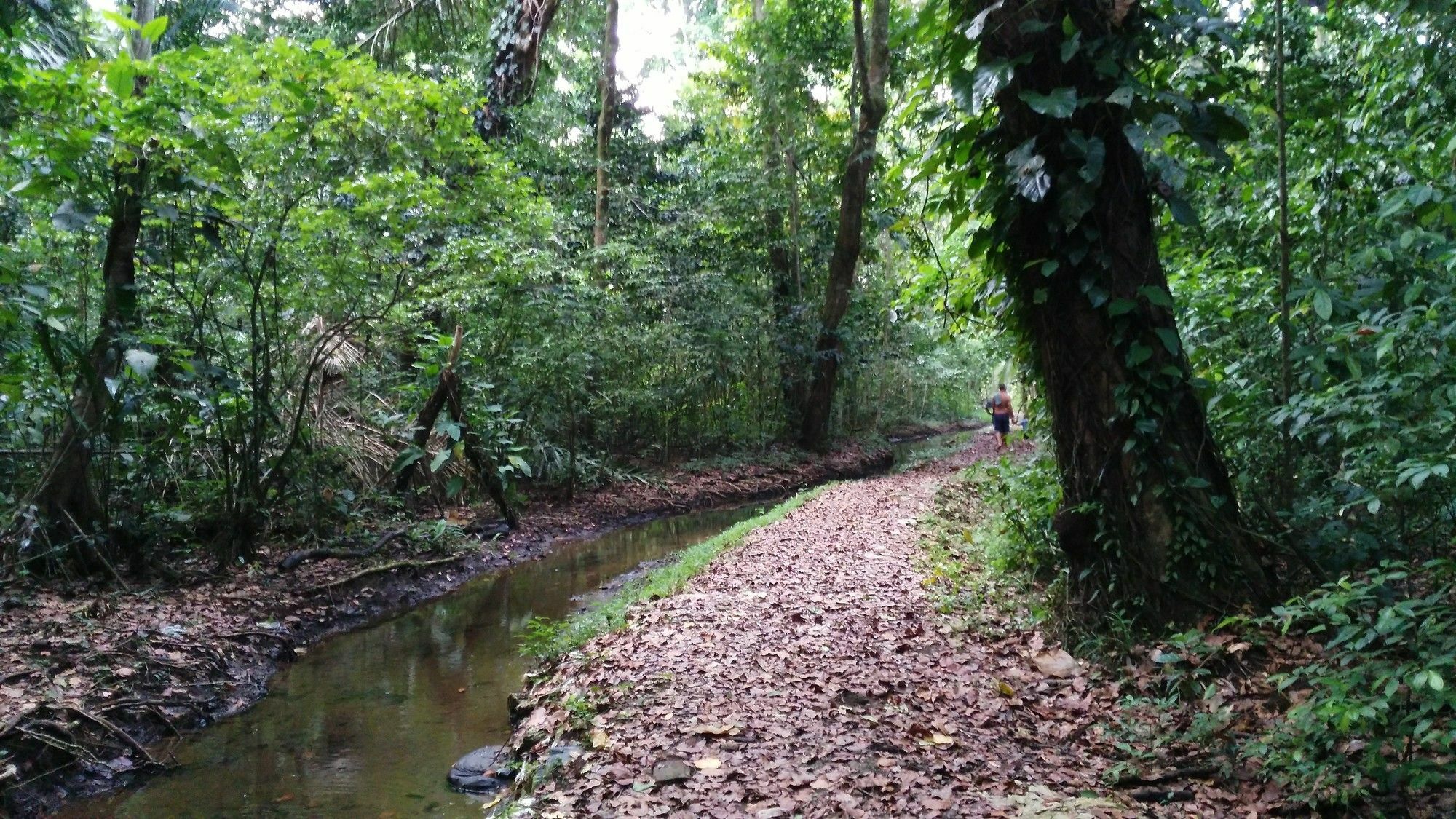 Lirio Lodge Barra de Pacuare Exteriör bild