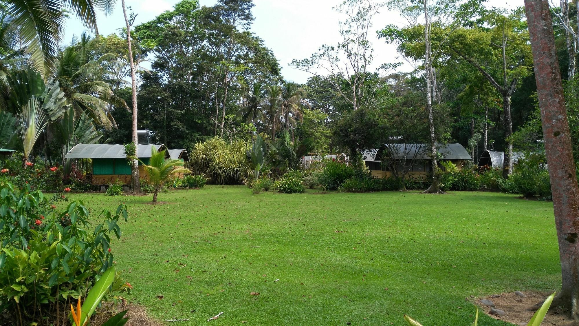 Lirio Lodge Barra de Pacuare Exteriör bild