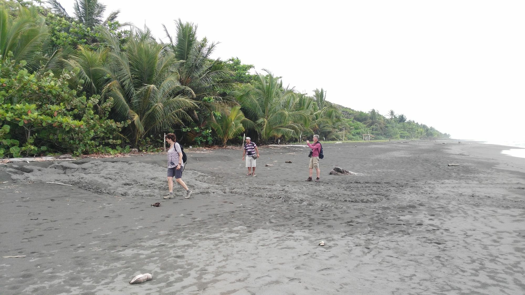 Lirio Lodge Barra de Pacuare Exteriör bild
