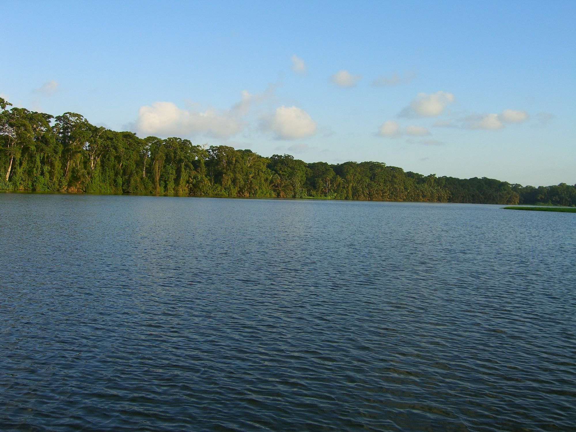 Lirio Lodge Barra de Pacuare Exteriör bild