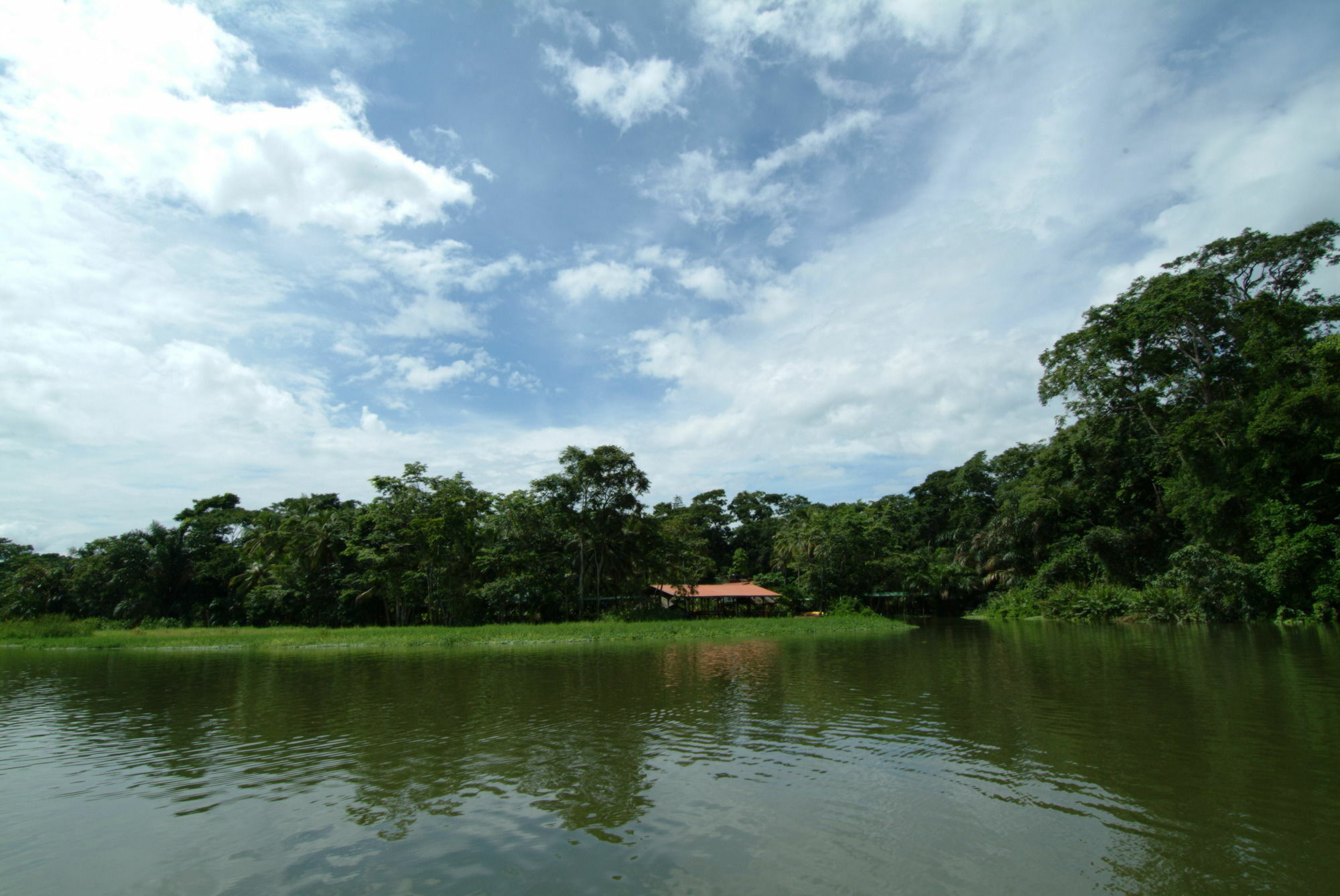 Lirio Lodge Barra de Pacuare Exteriör bild
