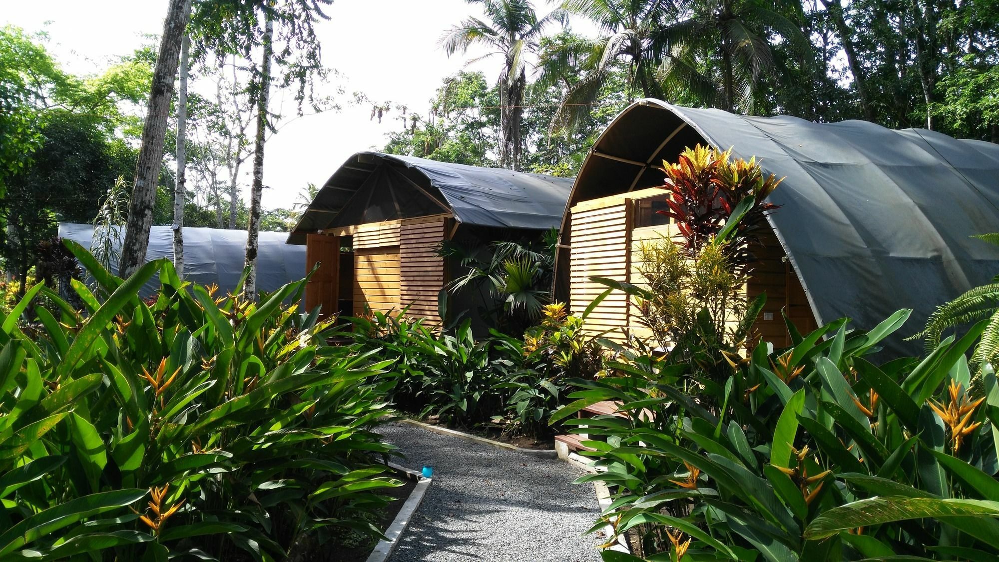 Lirio Lodge Barra de Pacuare Exteriör bild