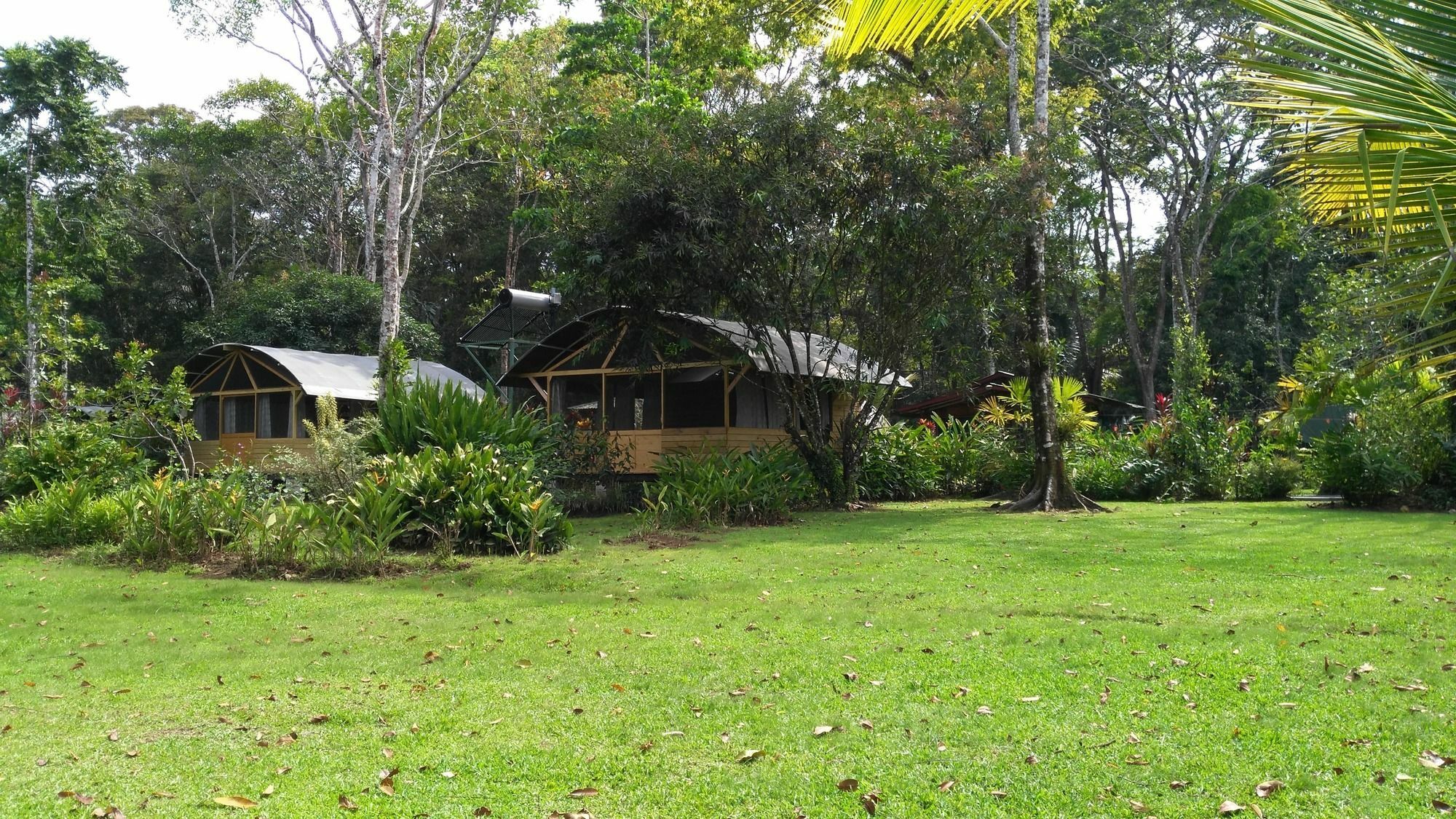Lirio Lodge Barra de Pacuare Exteriör bild