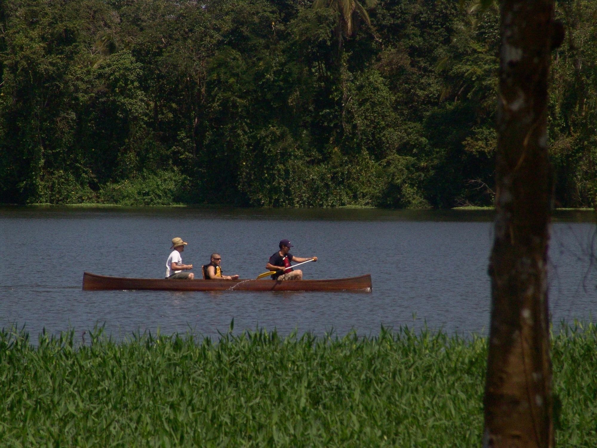 Lirio Lodge Barra de Pacuare Exteriör bild