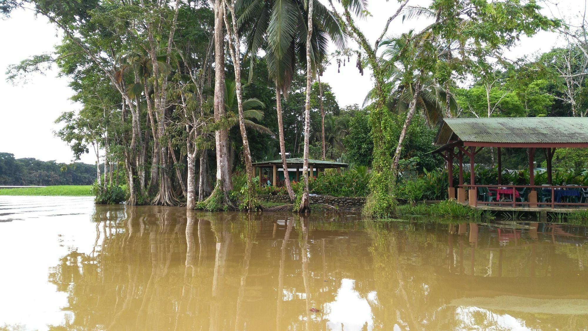 Lirio Lodge Barra de Pacuare Exteriör bild