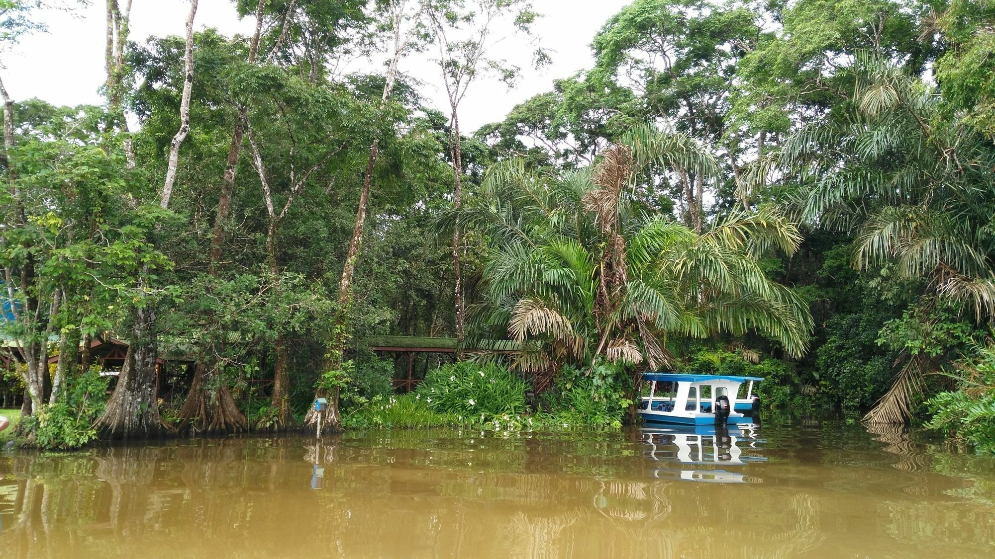 Lirio Lodge Barra de Pacuare Exteriör bild