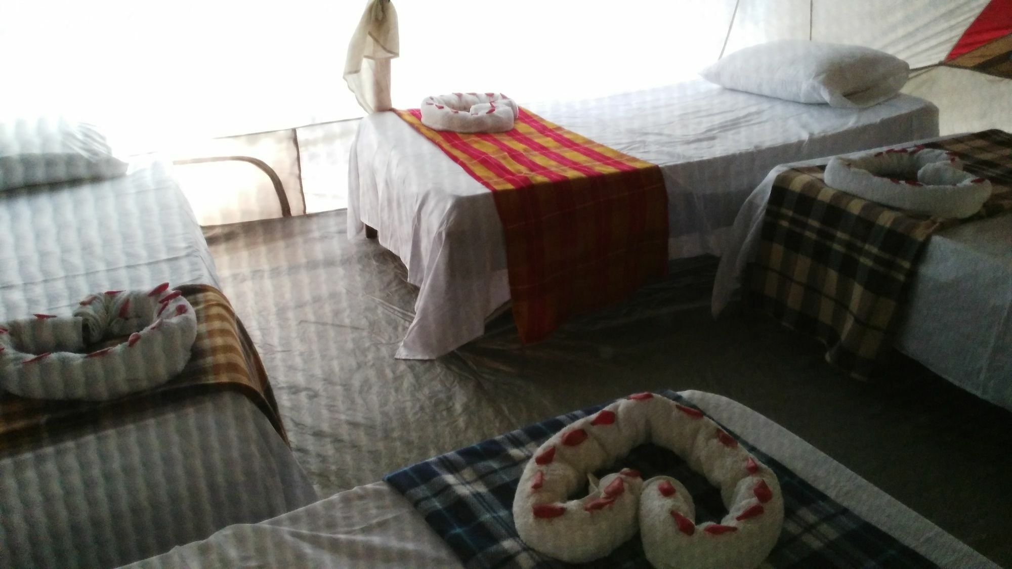 Lirio Lodge Barra de Pacuare Exteriör bild