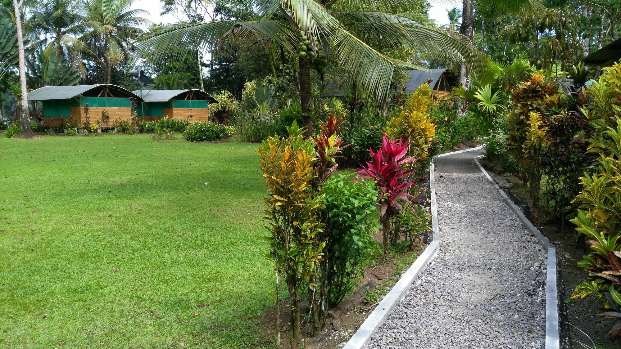 Lirio Lodge Barra de Pacuare Exteriör bild