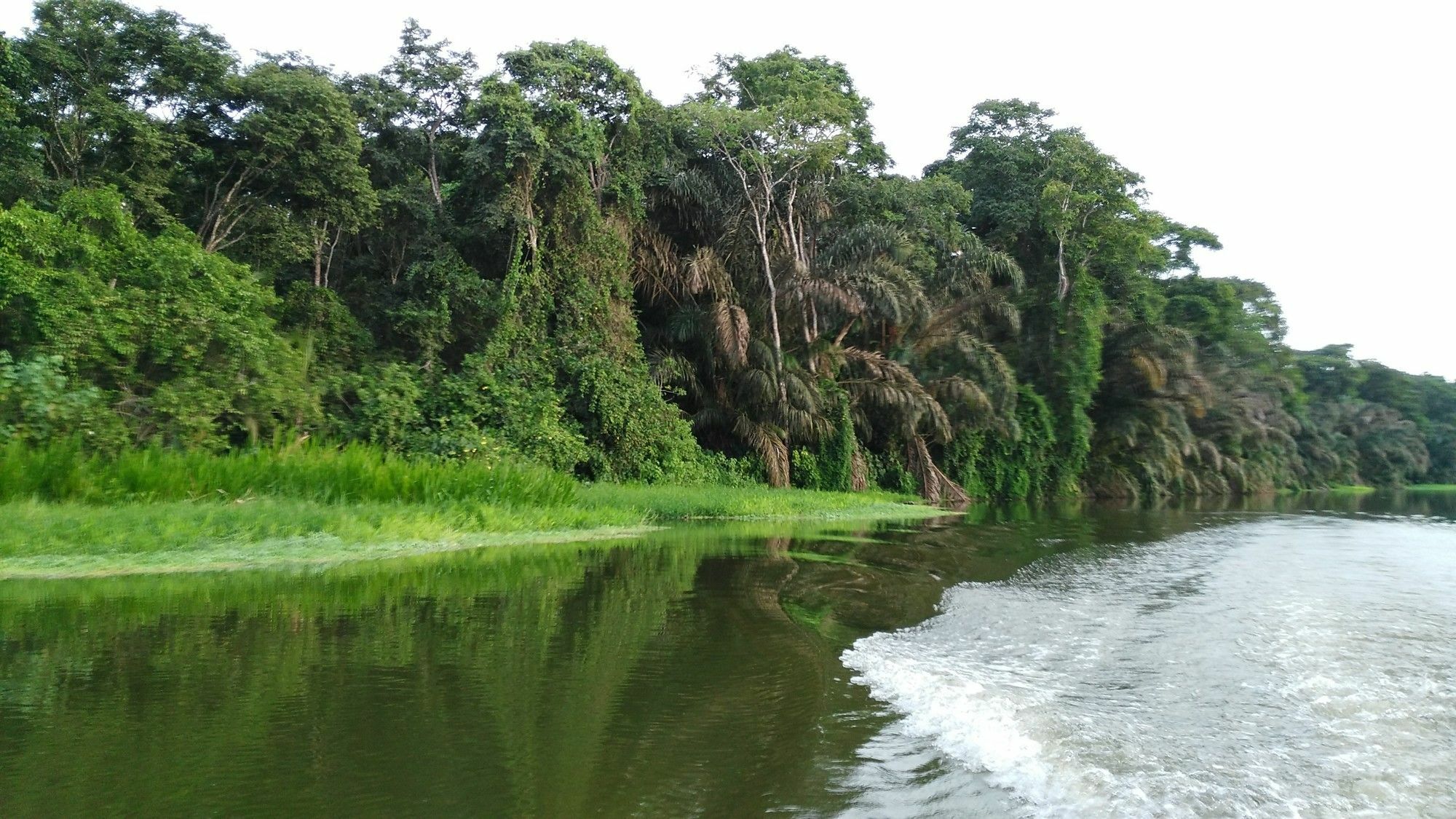 Lirio Lodge Barra de Pacuare Exteriör bild